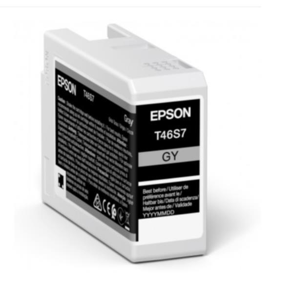 Epson Singlepack Gray T46s7 Ultrachrome Pro 10